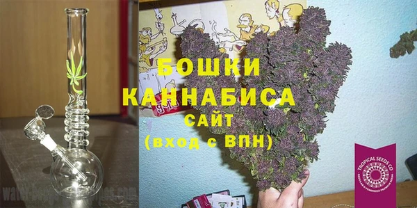 хмурый Бородино