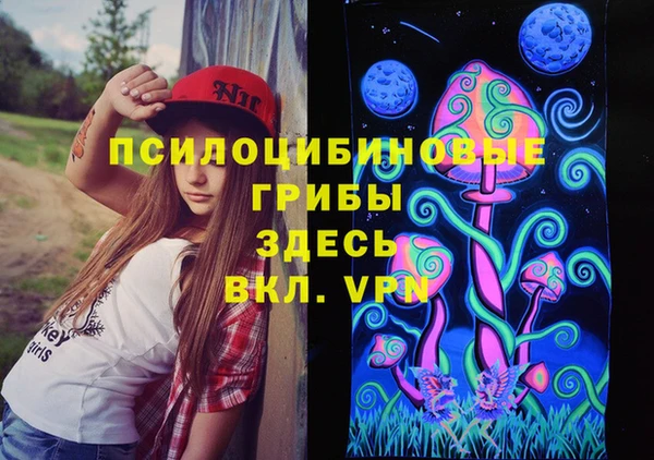 хмурый Бородино