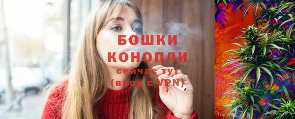 Альфа ПВП Богородск