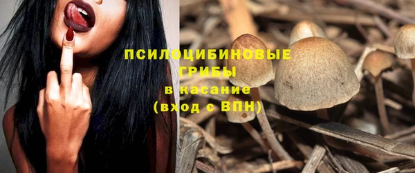 Альфа ПВП Богородск