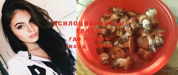 хмурый Бородино