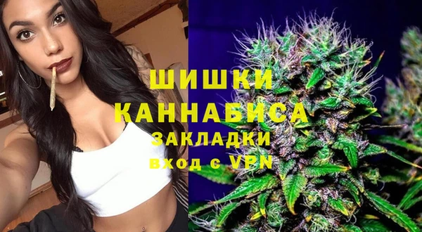 хмурый Бородино